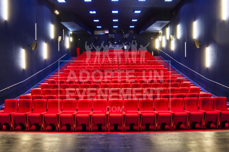 MAISON DES ARTS PLESSIS ROBINSON REUNIONS SEMINAIRES ANIMATIONS TEAM BUILDING THEATRE CINEMA | adopte-un-evenement