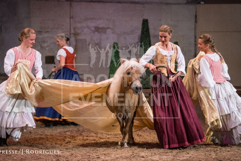 LES GRANDES ECURIES DE CHANTILLY - CHATEAU DE CHANTILLY - LIEU EVENEMENTIEL HISTORIQUE A CHANTILLY | adopte-un-evenement