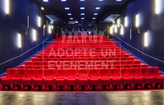 MAISON DES ARTS PLESSIS ROBINSON REUNIONS SEMINAIRES ANIMATIONS TEAM BUILDING THEATRE CINEMA | adopte-un-evenement