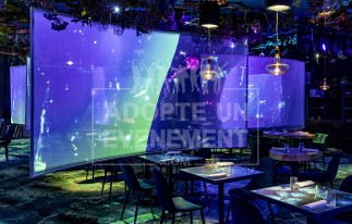 RESTAURANT LIEU IMMERSIF SUR PARIS SOIREE ENTREPRISE UNIQUE SUR PARIS | adopte-un-evenement