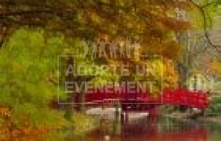  | adopte-un-evenement